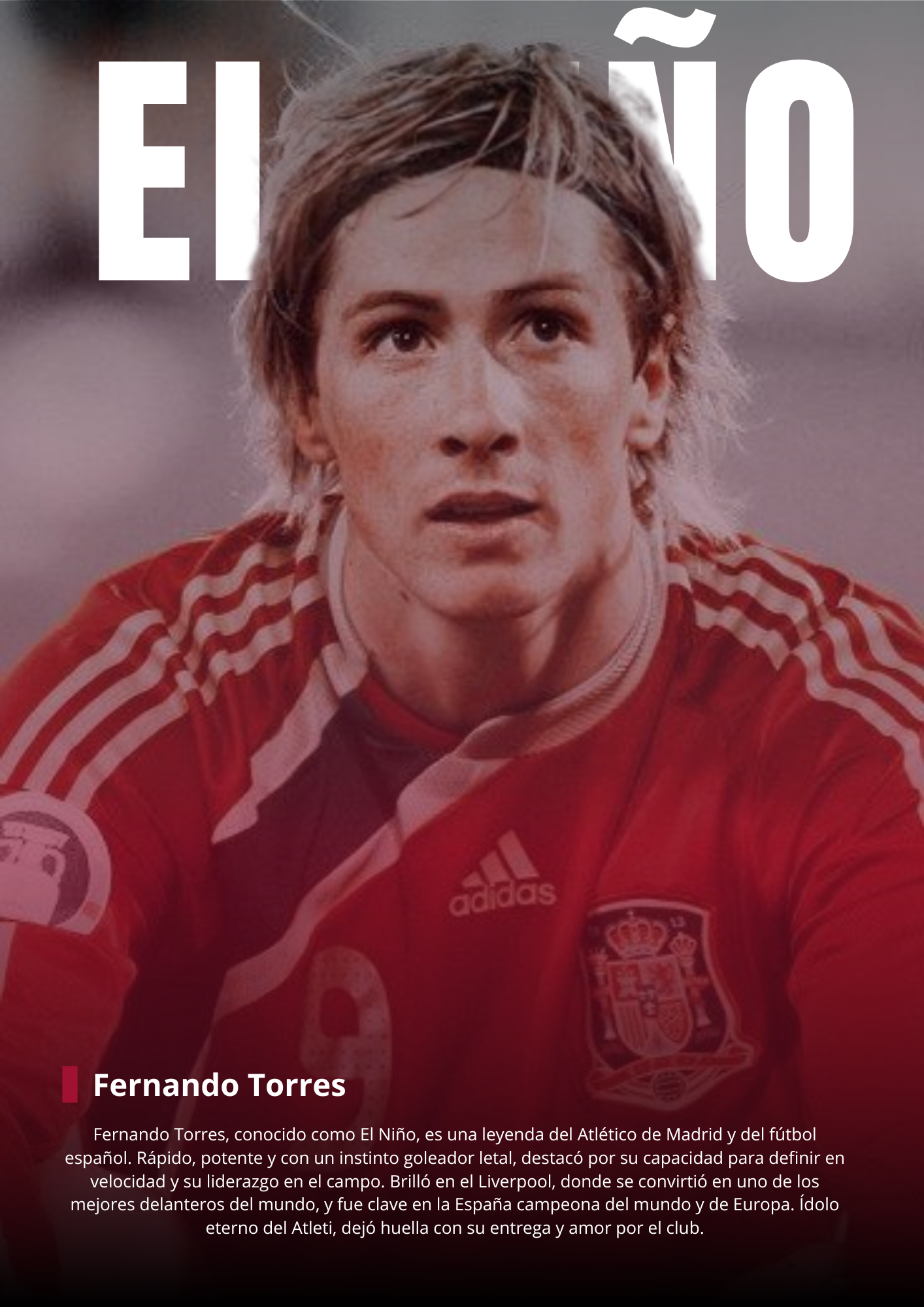 FERNANDO TORRES